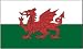 Wales Flag 3 x 5 Brand NEW 3x5 Welsh Dragon Flag