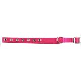 Adjustable Jewel Cat Collar, Size 12