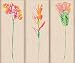 Hero Arts "Wildflowers in Bloom" Wooden Stamps. Box Set of 3.