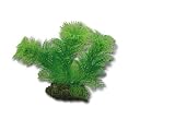 Hobby Egeria - 13cm