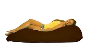 Hugasaurus Unique Adjustable Bean Bag Chair