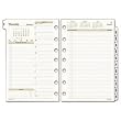 Day Runner PRO Recycled Two-Pages-Per-Day Planning Pages, 5-1/2 x 8-1/2 Inches, 2010 (481-225-10)