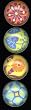 iPop Clicks Deco Flowers 4-Pack Magnet Set
