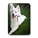 Dogs American Eskimo - American Eskimo - Light Switch Covers - single toggle switch