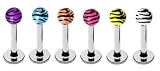 6 Zebra Tiger animal Print colorful Labret Monroe lip tragus piercing bar Ring 16g