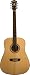 Washburn WD10 Series WD10SLH Acoustic Guitar