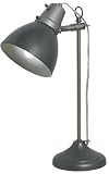 OTT-LITE VisionSaver Plus Eaton Table Lamp