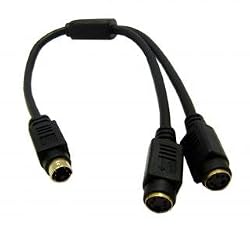S-Video Y Splitter Cable, 1 ft, 1 Male to 2 Female