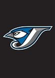 Toronto Blue Jays GARDEN/MINI FLAGS 15 x 10 1/2 " "