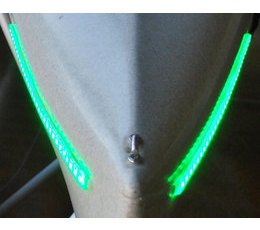 Wildcat Lighting Fishing