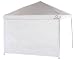 Swiss Gear Smart Shade Sunscreen/Windbreaker for Canopy