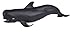 Safari Pilot Whale
