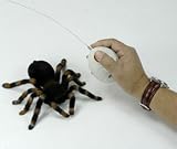 Uncle Milton R/C Tarantula