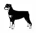 rottweiler6 - Big ROTTWEILER DOG Vinyl Car Quality STICKERDECAL