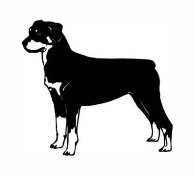 image link -  - B002JSDCPG