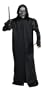 Harry Potter's Death Eaters Adult Costume (Standard)