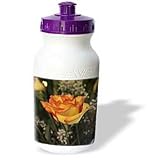 Bob Molchan Photography Nature - Flower Rose Closeup Yellow Red - Water Bottles