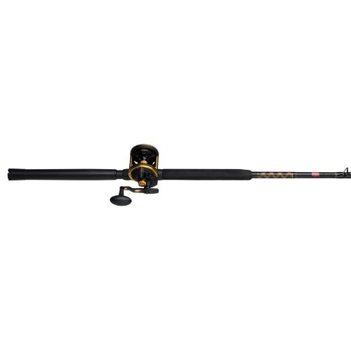 Top Best 5 fishing rods penn for sale 2017 Product Sports World Report