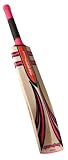 Quantum Blaze Cricket Bat Harrow