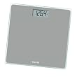 Taylor 7530 Glass Scale, Back Painted in Silver