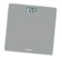 Taylor 7530 Glass Scale, Back Painted in Silver