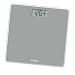Taylor 7530 Glass Scale, Back Painted in Silver