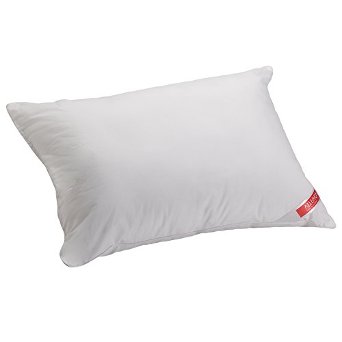 Aller-Ease Travel Pillow, 14-inch by 20-inch