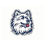 NCAA Connecticut Huskies - Large Wall Accent Mural