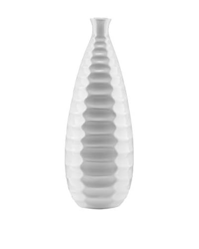 Concept  Vaso Per Pianta