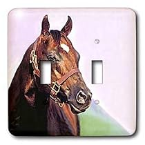 Horse - Quarter Horse - Light Switch Covers - double toggle switch