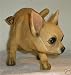 Peeing Tan Chihuahua Dog Lawn Garden Statue