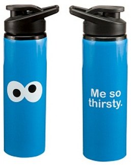 Vandor 32210 Sesame Street Cookie Monster 24-Ounce Stainless Steel Water Bottle, Blue
