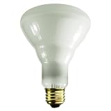 Philips 24876-5 - 65 120 Volt