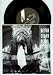 Montague Terrace / Little Black Dress