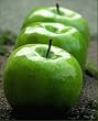 Granny Smith Apple Tree Semi Dwarf Five Gallon