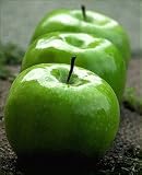 Granny Smith Apple Tree Five Gallon