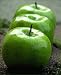 Granny Smith Apple Tree Semi Dwarf Five Gallon