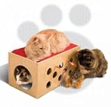Pet Supplies : Bootsie's Bunkbed & Playroom