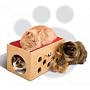 SmartCat Bootsie's Bunk Bed and Playroom for Cats