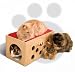 Pet Supplies : Bootsies Bunkbed and Playroom