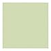 Rosco Roscolux Pale Yellow Green, 20x24