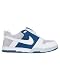 Sporting Goods : NIKE 6.0 Air Insurgent Blue & White Sneaker