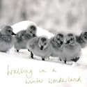 Christmas Cards - Charity Pack of 8 - Fluffy Ducklings
