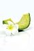 Avocado Slice Isolated with Tropical Flower - 18