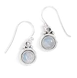 Round Moonstone Polished Edge Earrings