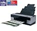 Epson Stylus Pro 3800 - 17" large-format printer - color - ink-jet - A2, ANSI C - 2880 dpi x 1440 dpi - capacity: 120 sheets - USB, 10/100Base-TX