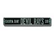 Tampa Bay Devil Rays Drive Street Sign 6 x 36 MLB Baseball Street Sign