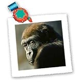 Monkey - Gorilla Portrait - Quilt Squares