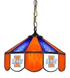 Illinois Fighting Illini 14 Swag Hanging Lamp