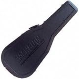 Musical Instruments : Washburn GC75 Molded Guitar Case